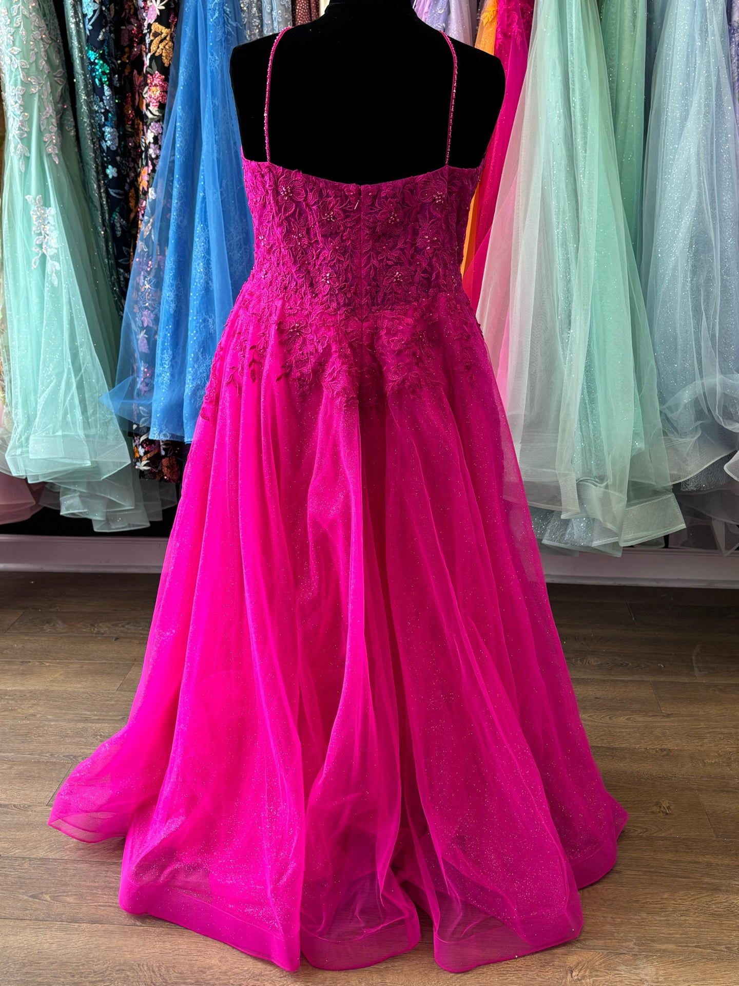 Size 24 Emmi's Elegance Fuschia Gown
