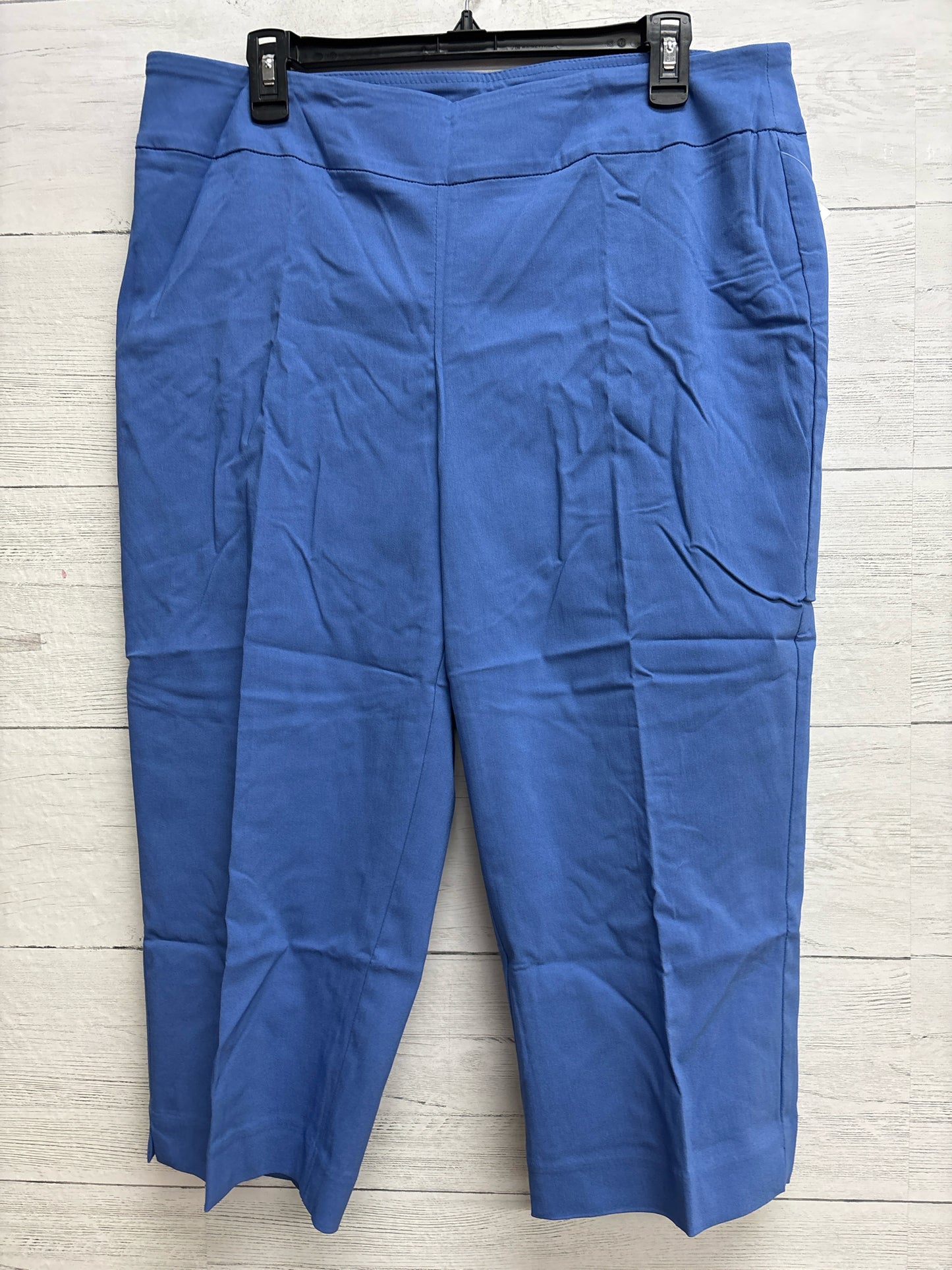 Size L Dana Buchman Blue Capri