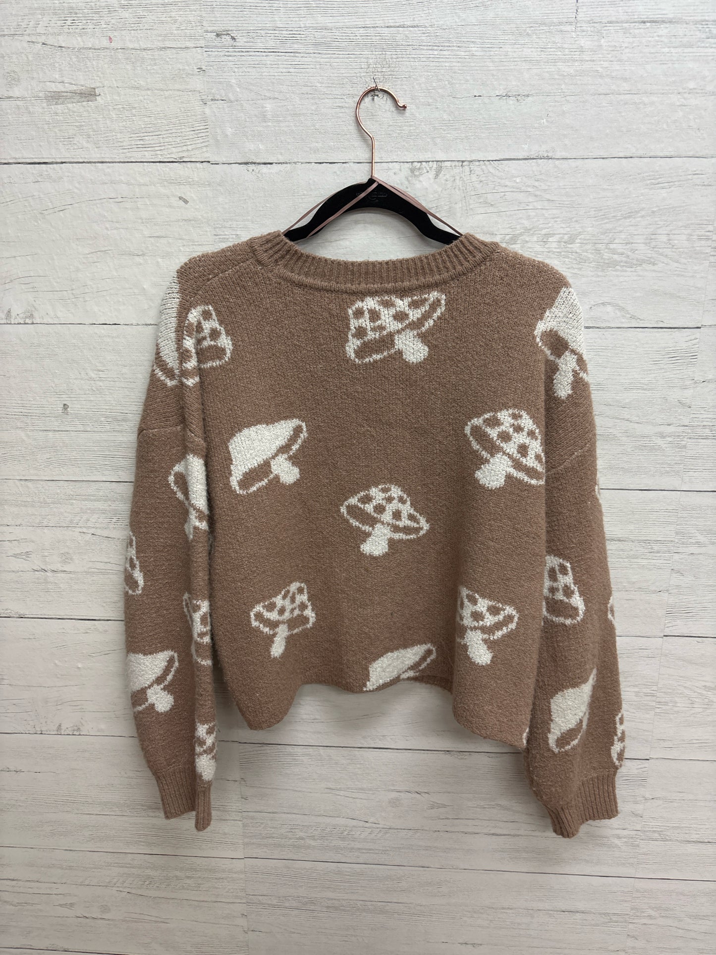 Size M Hippie Rose tan/white Sweater
