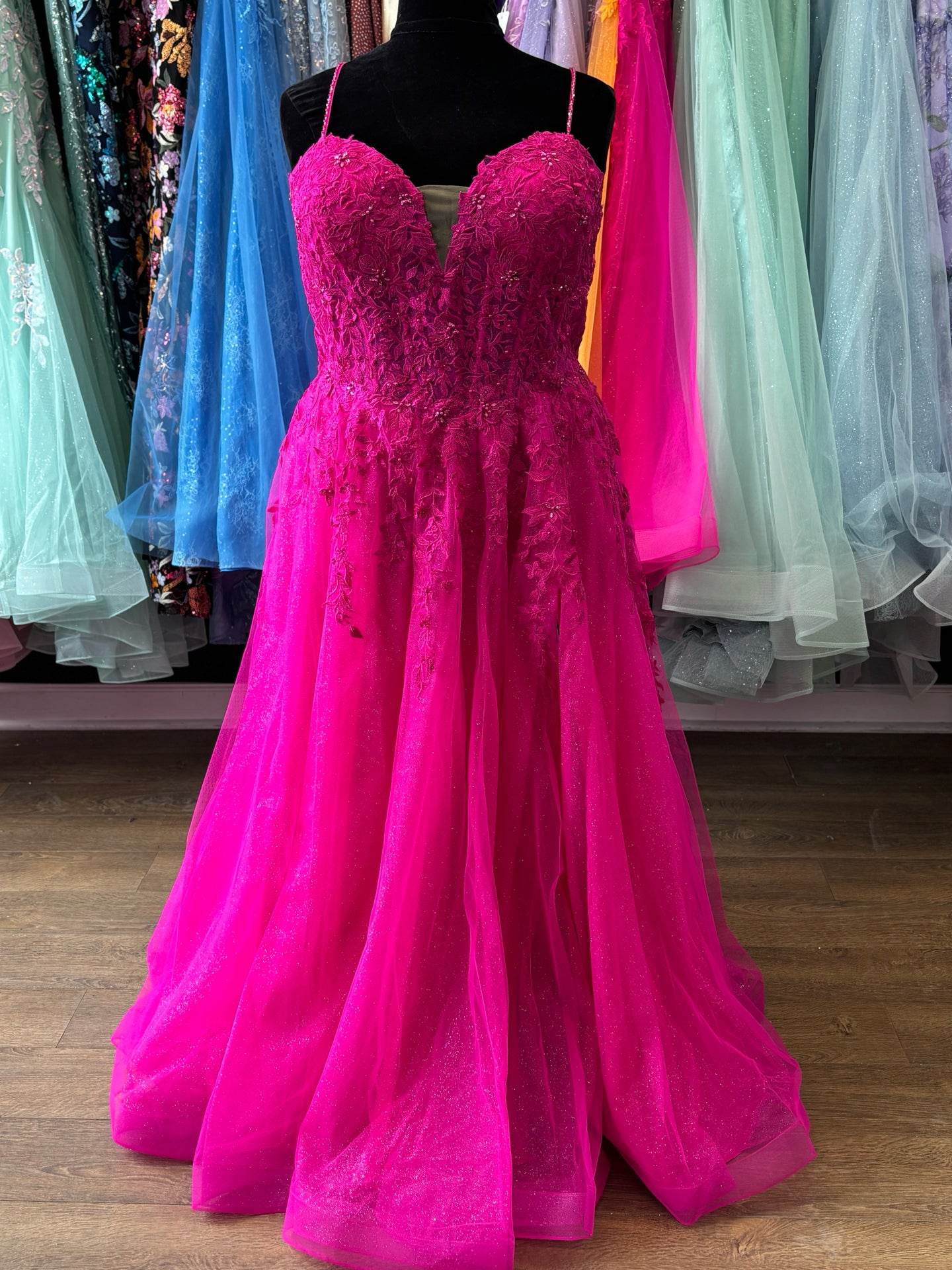 Size 24 Emmi's Elegance Fuschia Gown