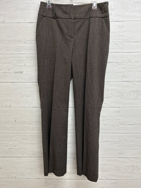 Size 10 Northern reflections Brown Pants