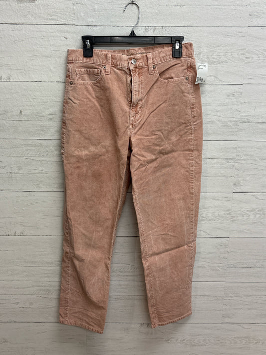 Size 8 American Eagle Pink Pants