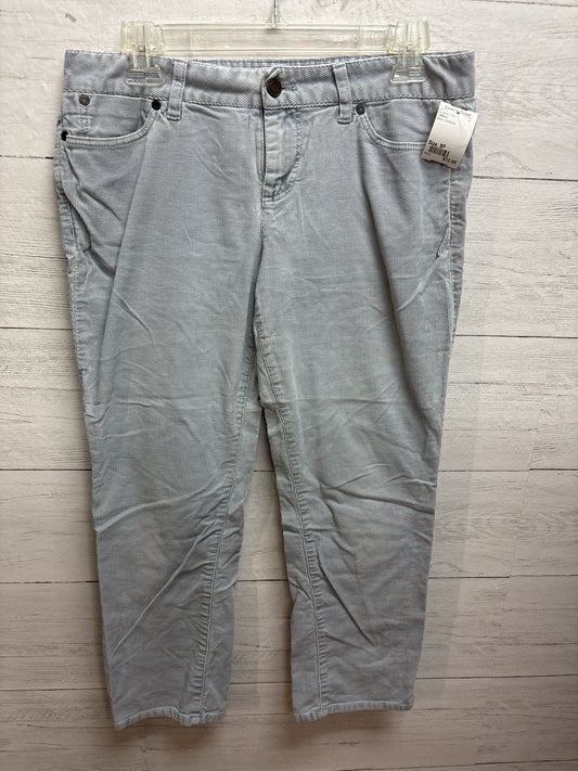 Size 8P Talbot's Blue Womens Pants