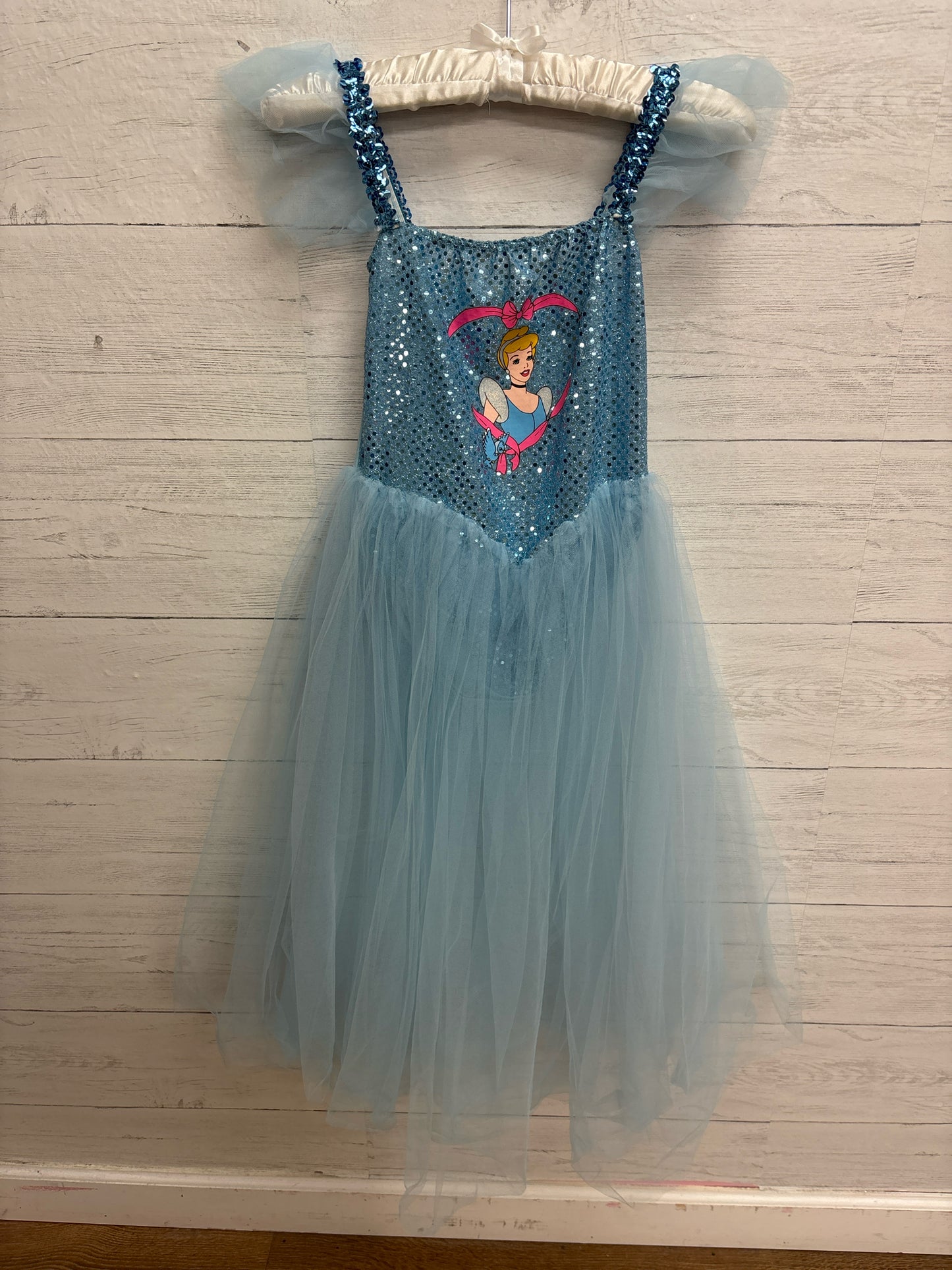 Disney Blue Child Costume