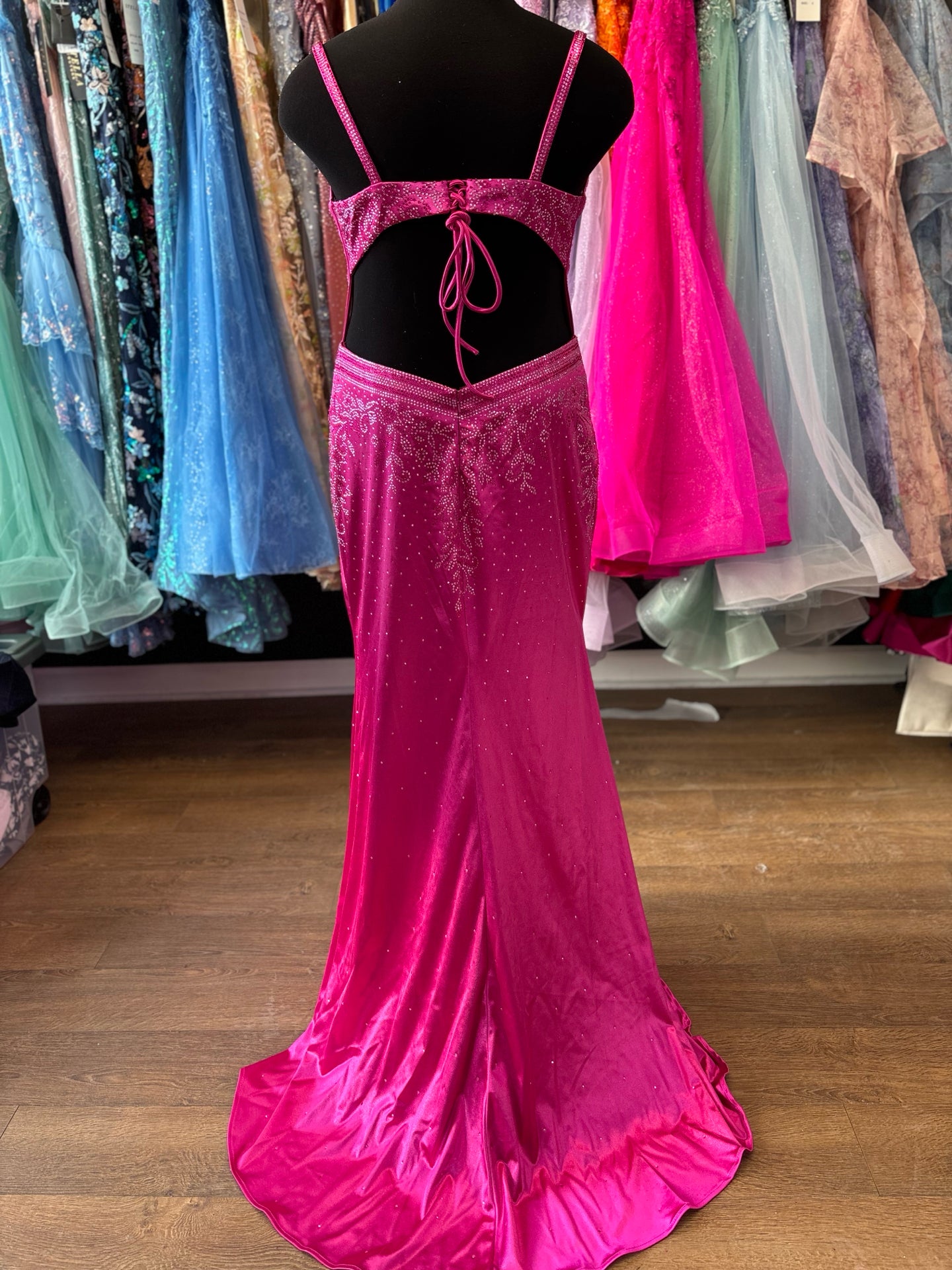 Size 16 Emmi's Elegance Fuschia Gown