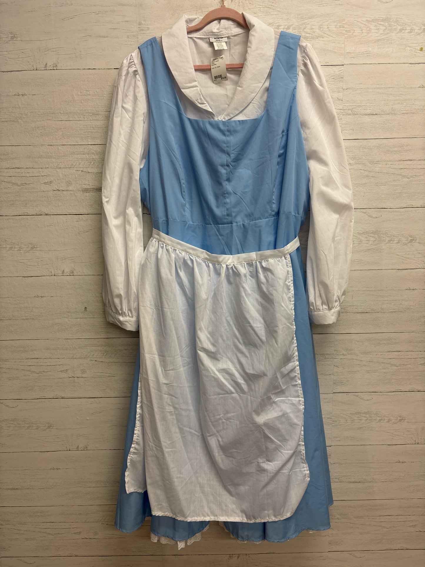 Disney Blue/White Womens Costume