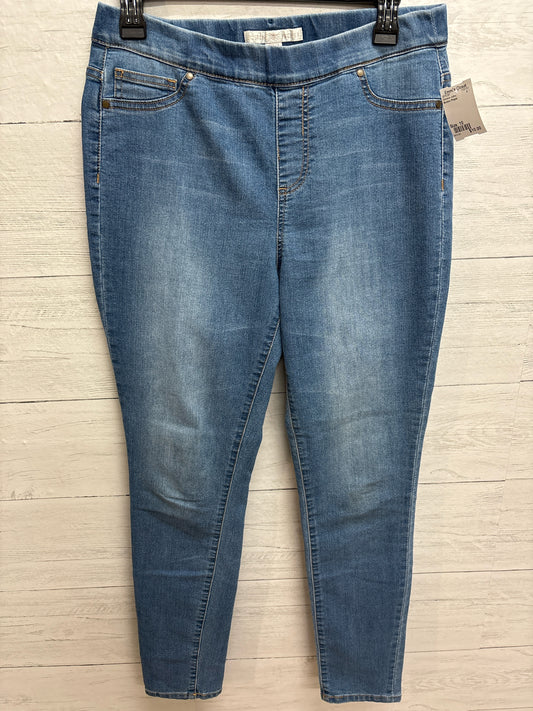 Size 10 Boston Proper Womens Jeans
