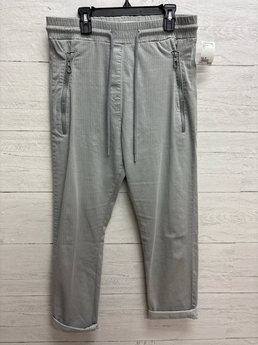 Size M ZHRILL Grey Womens Pants
