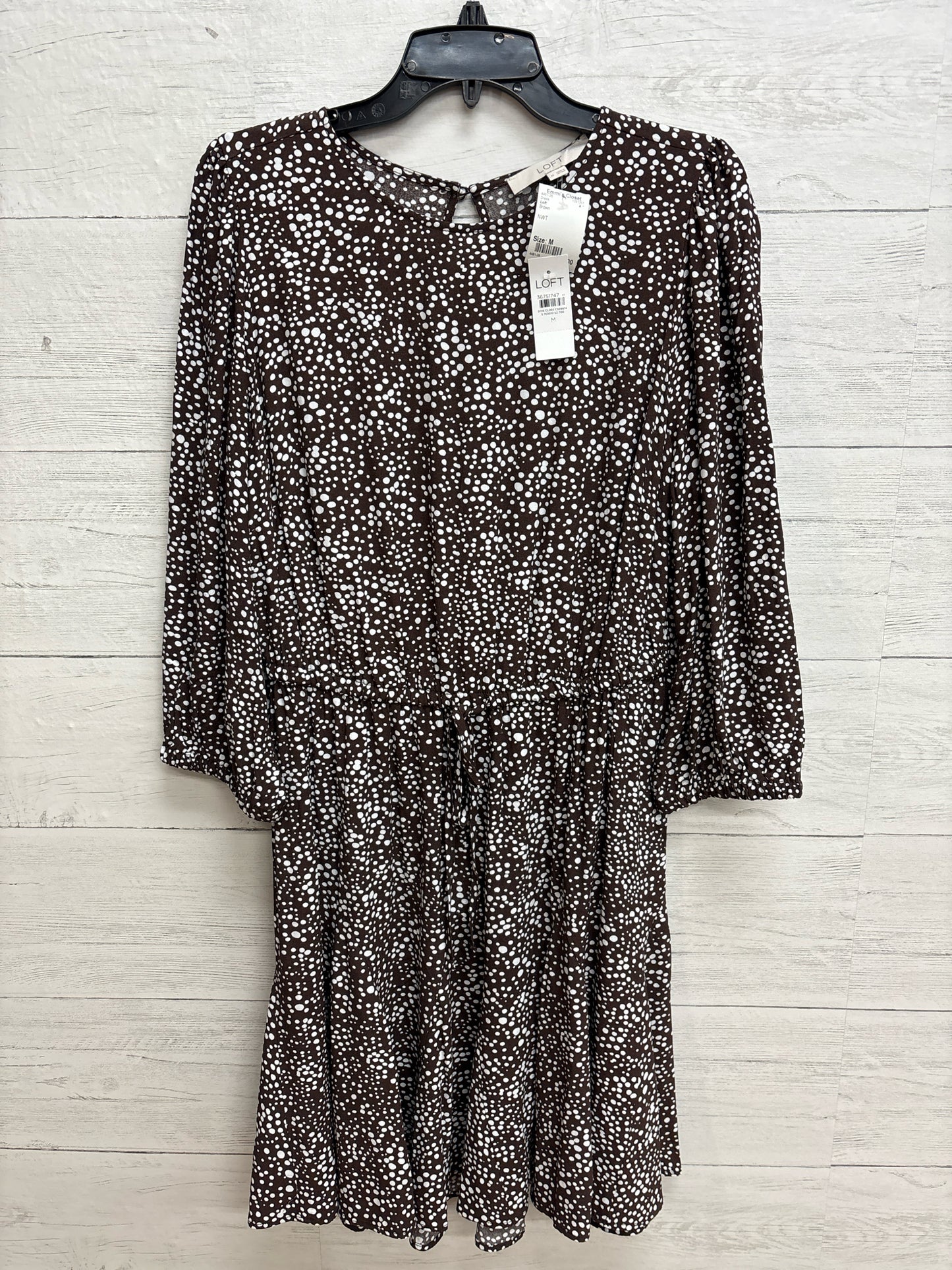Size M Loft Brown Dress