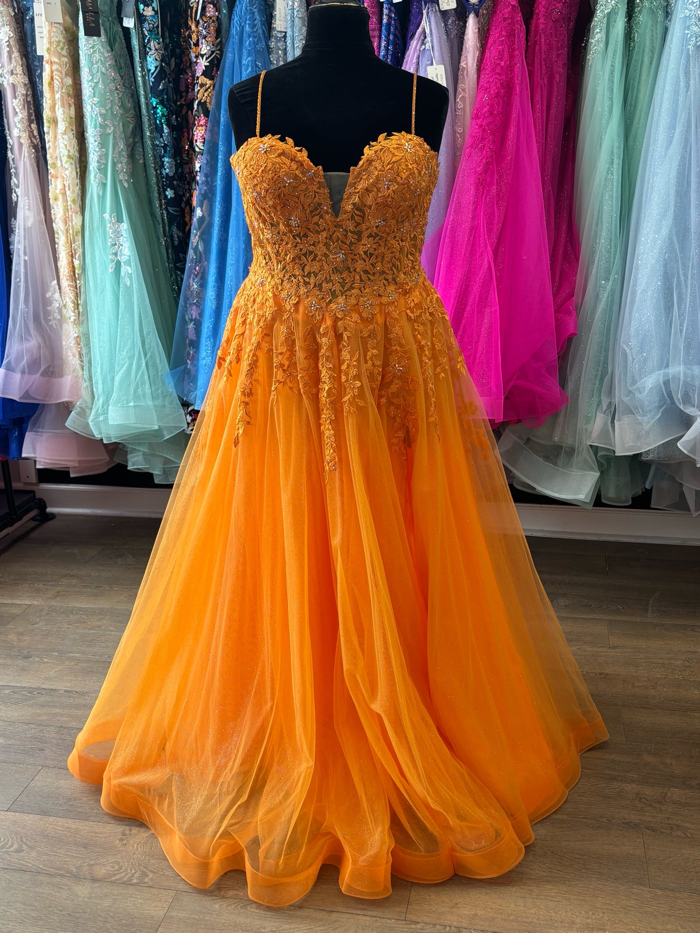 Size 18 Emmi's Elegance Orange Gown