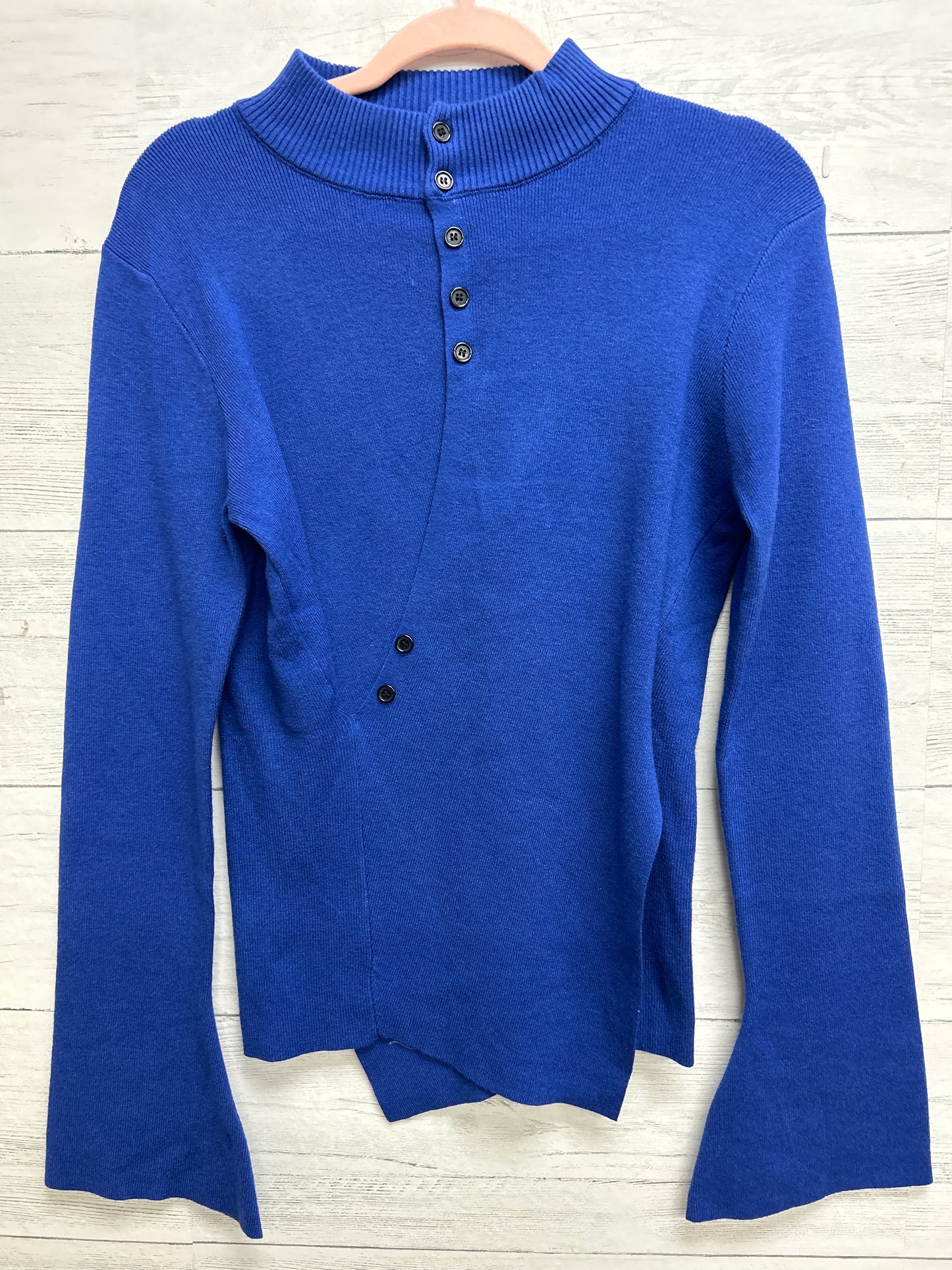 Size XL N/A Blue Sweater