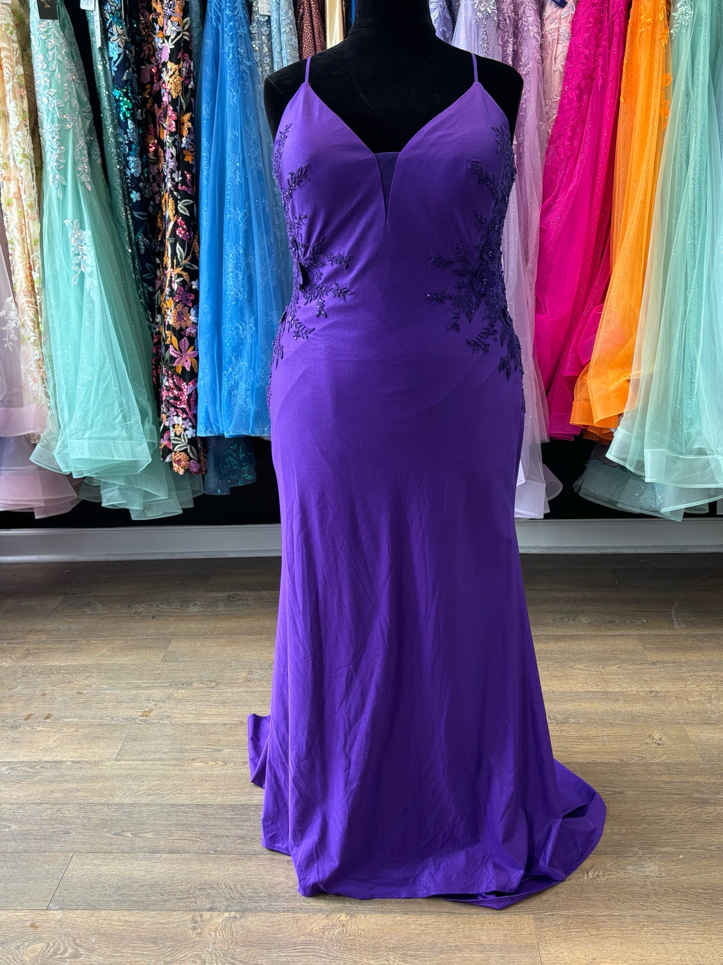 Size 20 Emmi's Elegance Purple Gown