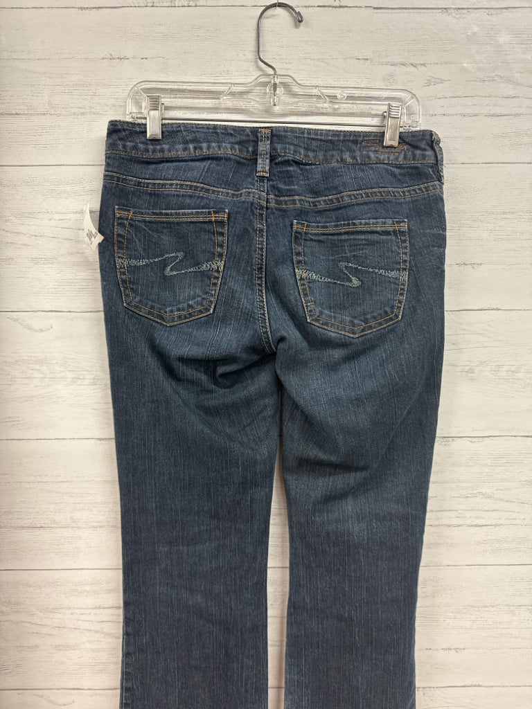 Size 28 Silver Denim Pants