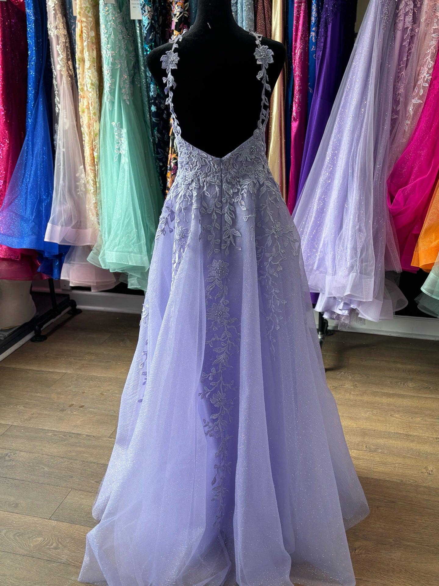 Size 10 Emmi's Elegance Lilac Gown