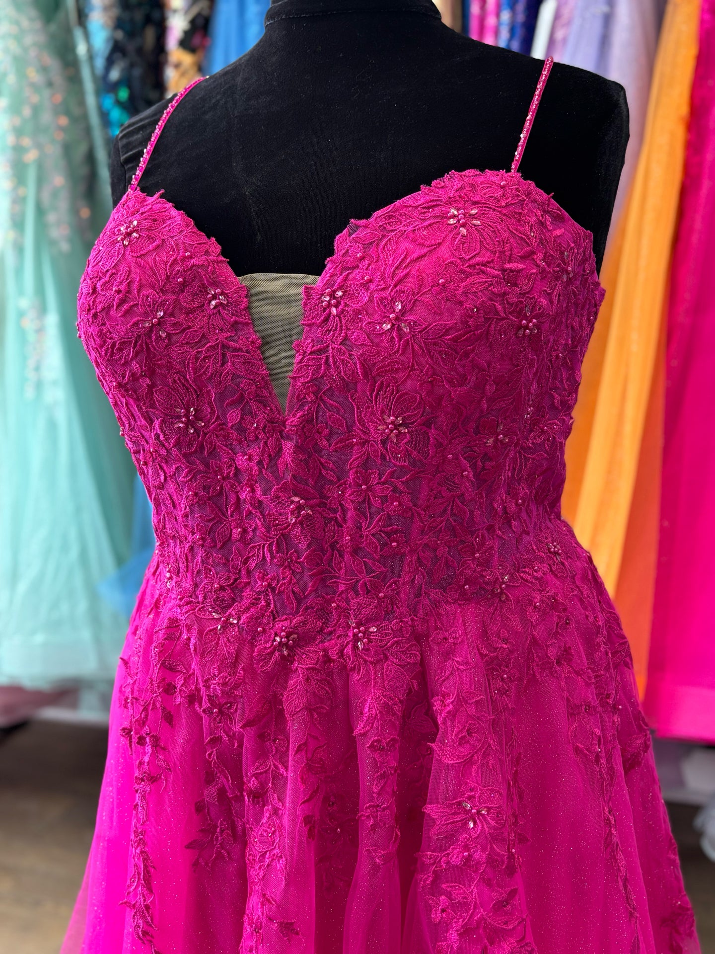 Size 24 Emmi's Elegance Fuschia Gown