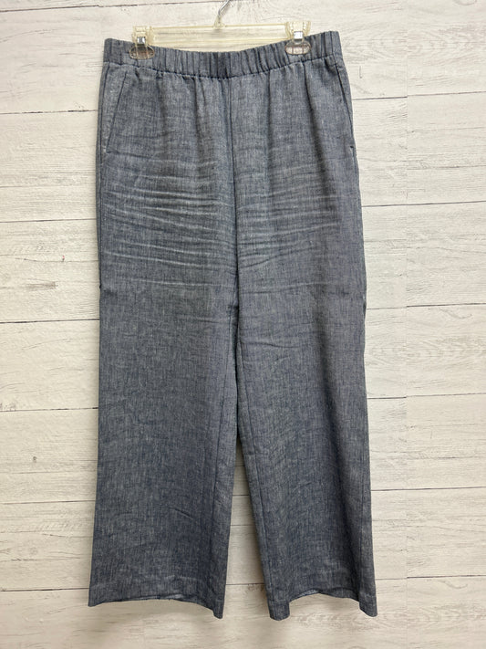 Size 10 Land's End Blue Pants