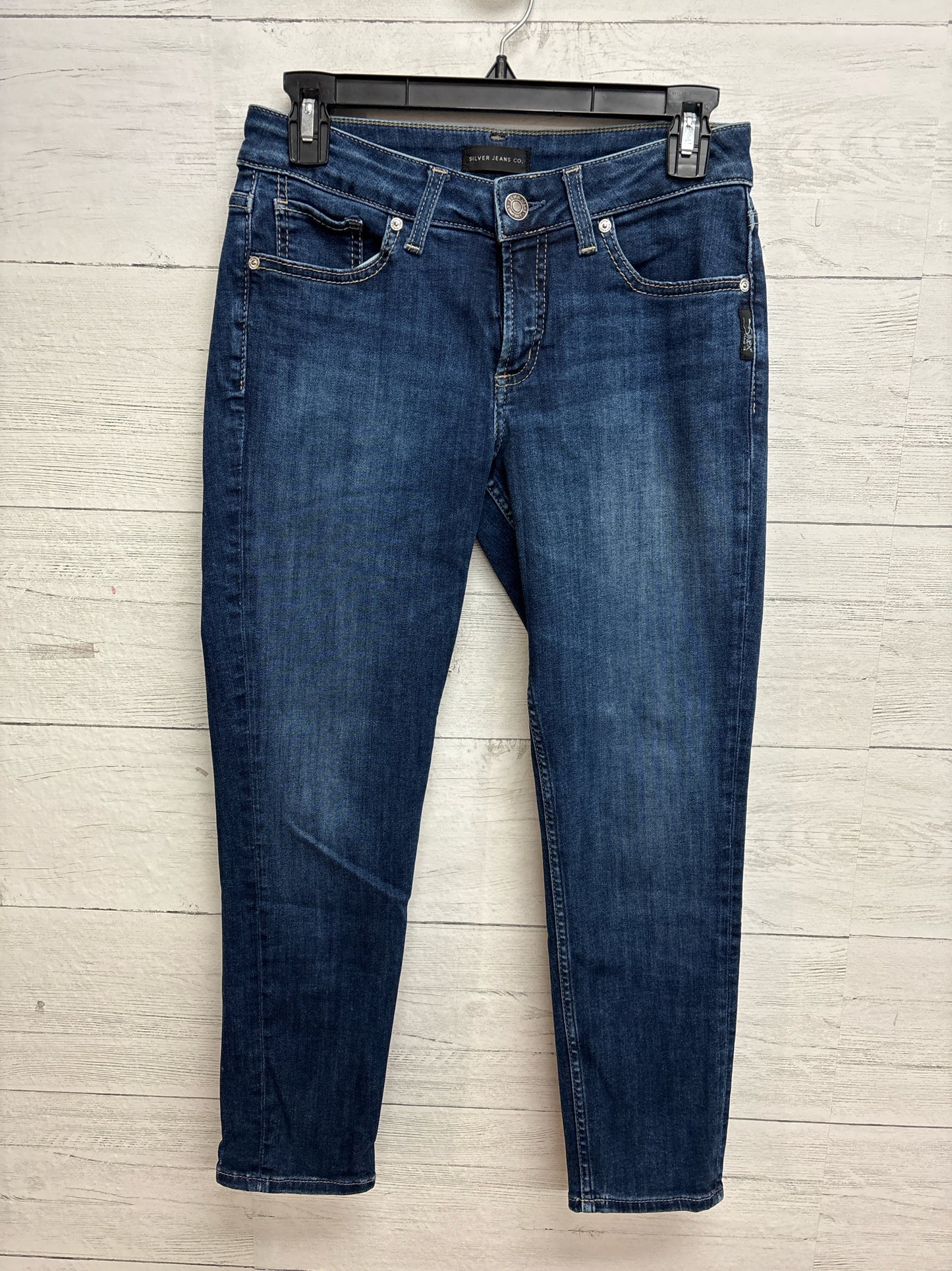 Size 28 Silver Denim Pants