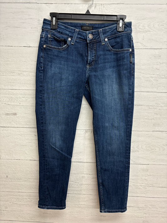 Size 28 Silver Denim Pants