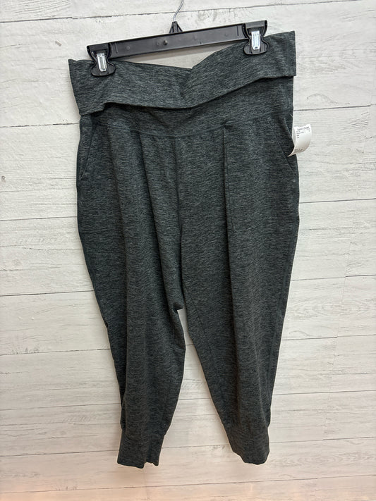Size L Aerie Grey Womens Pants