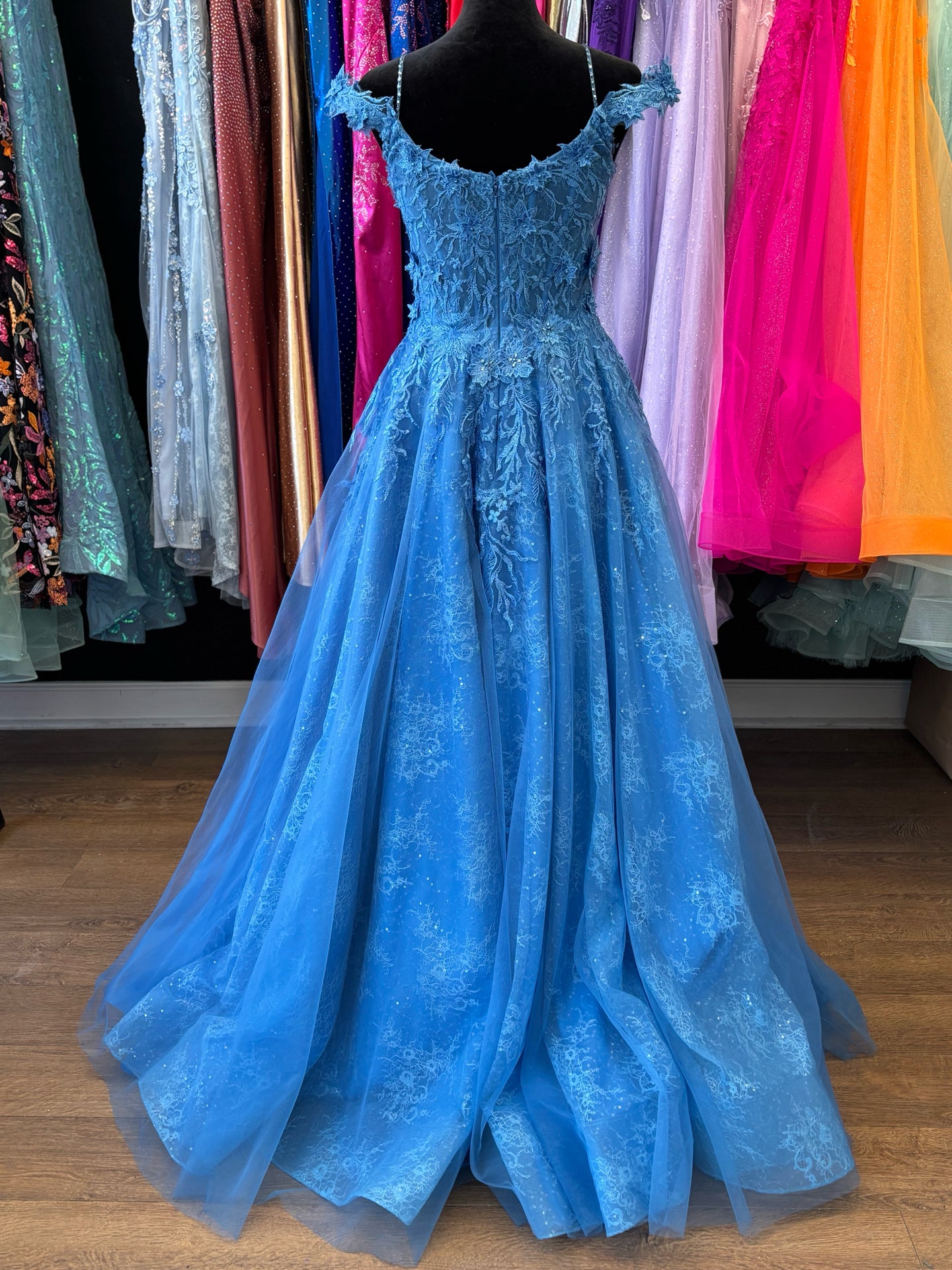 Size 4 Emmi's Elegance Blue Gown