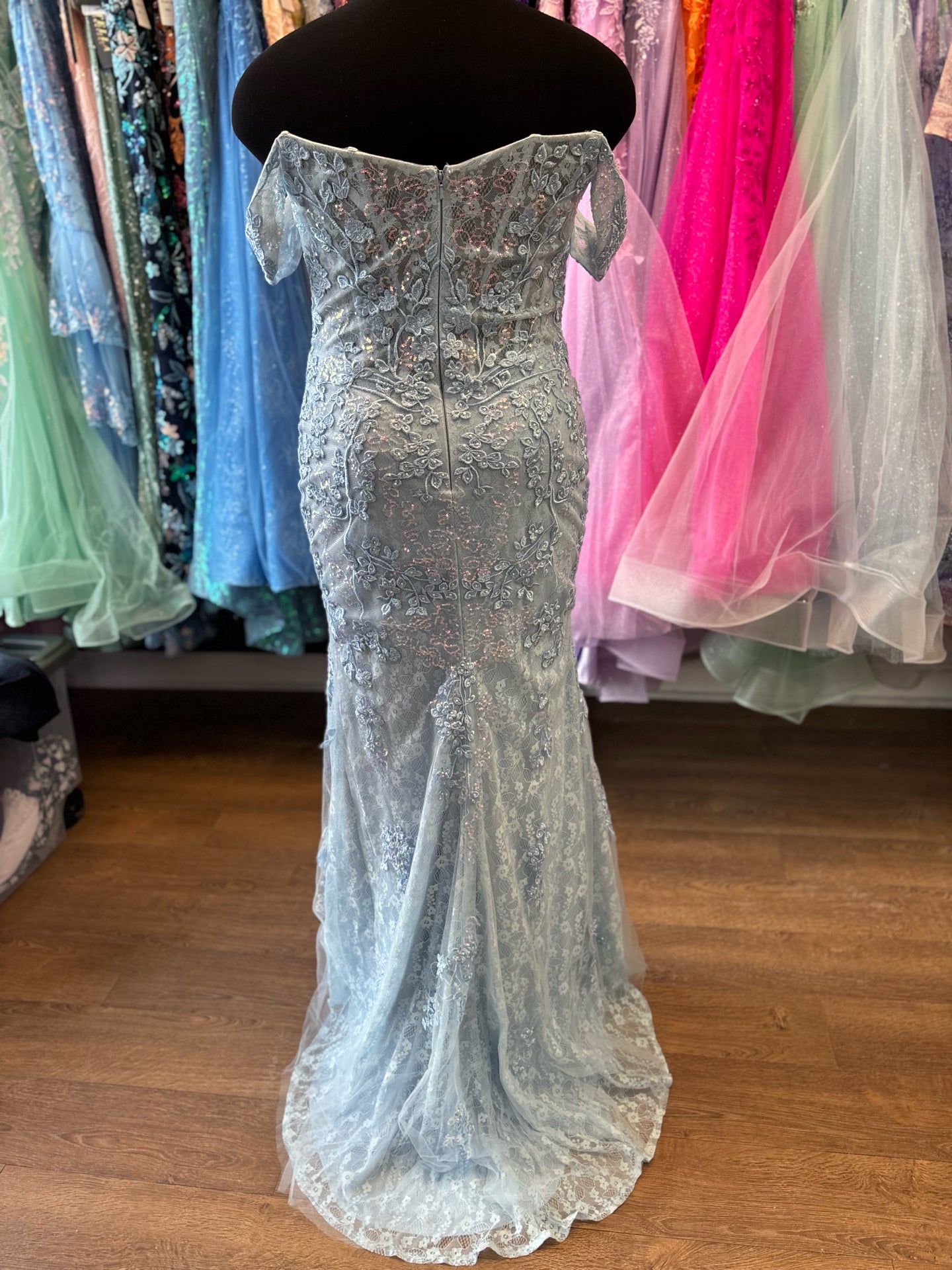 Size 12 Emmi's Elegance Light Blue Gown
