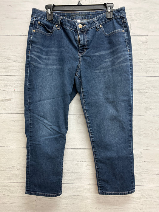 Size 12 Jennifer Lopez Denim Pants