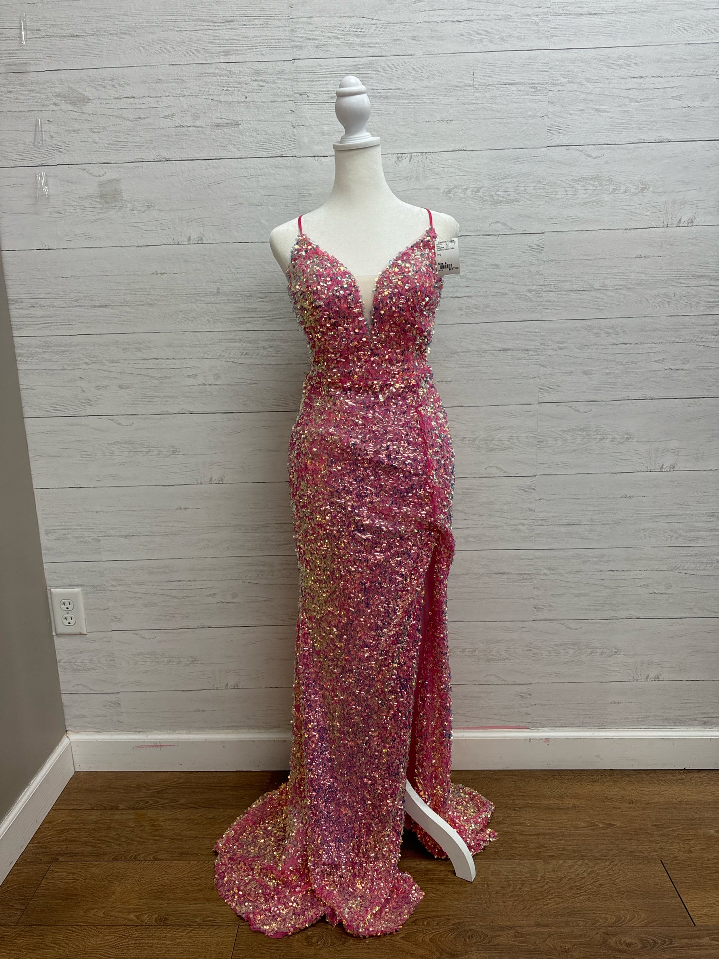 Size 4 Cinderella Pink/Blue Gown