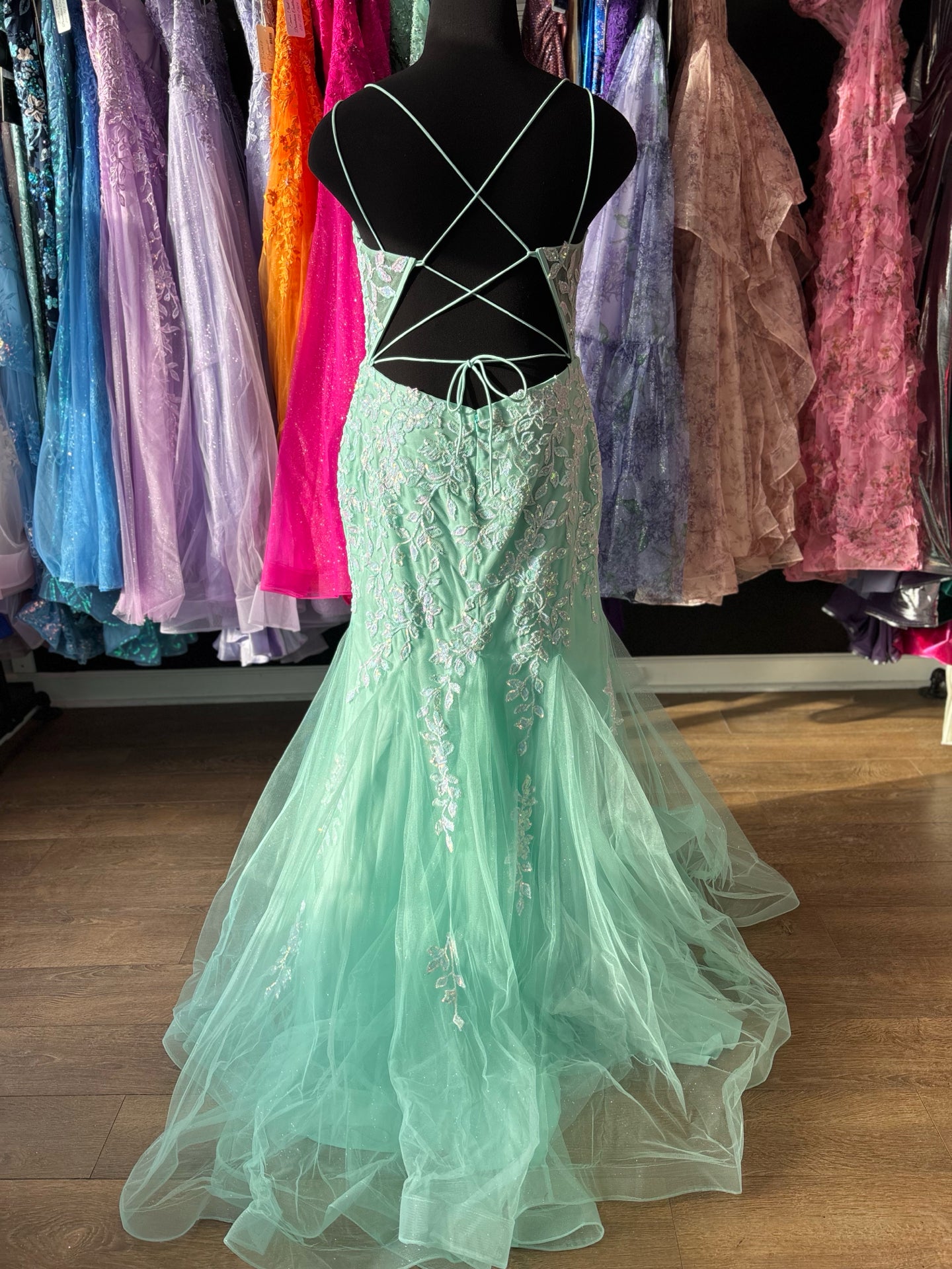 Size 16 Emmi's Elegance Aqua Gown