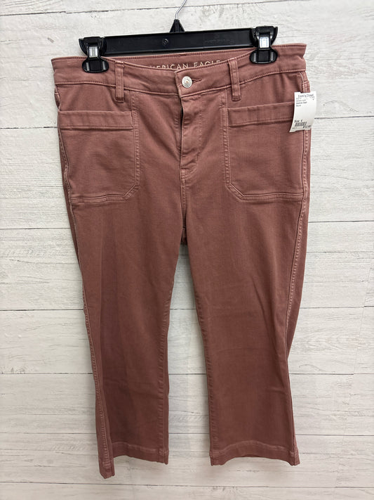 Size 4 American Eagle Mauve Womens Jeans