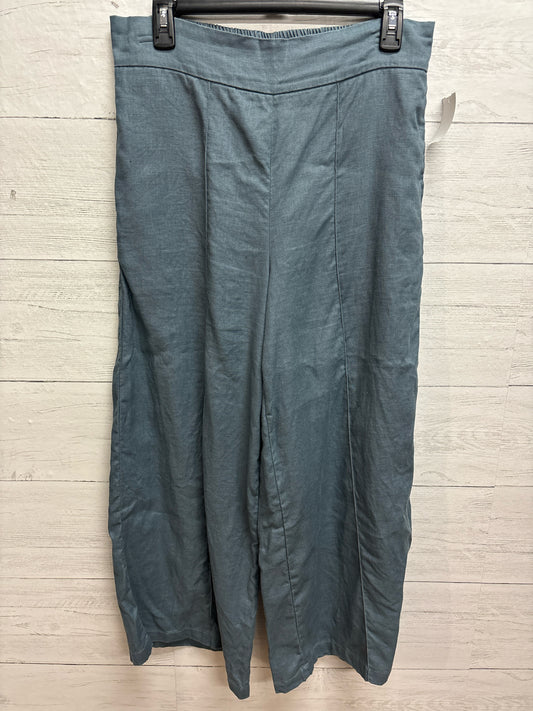 Size L Padova Blue Womens Pants
