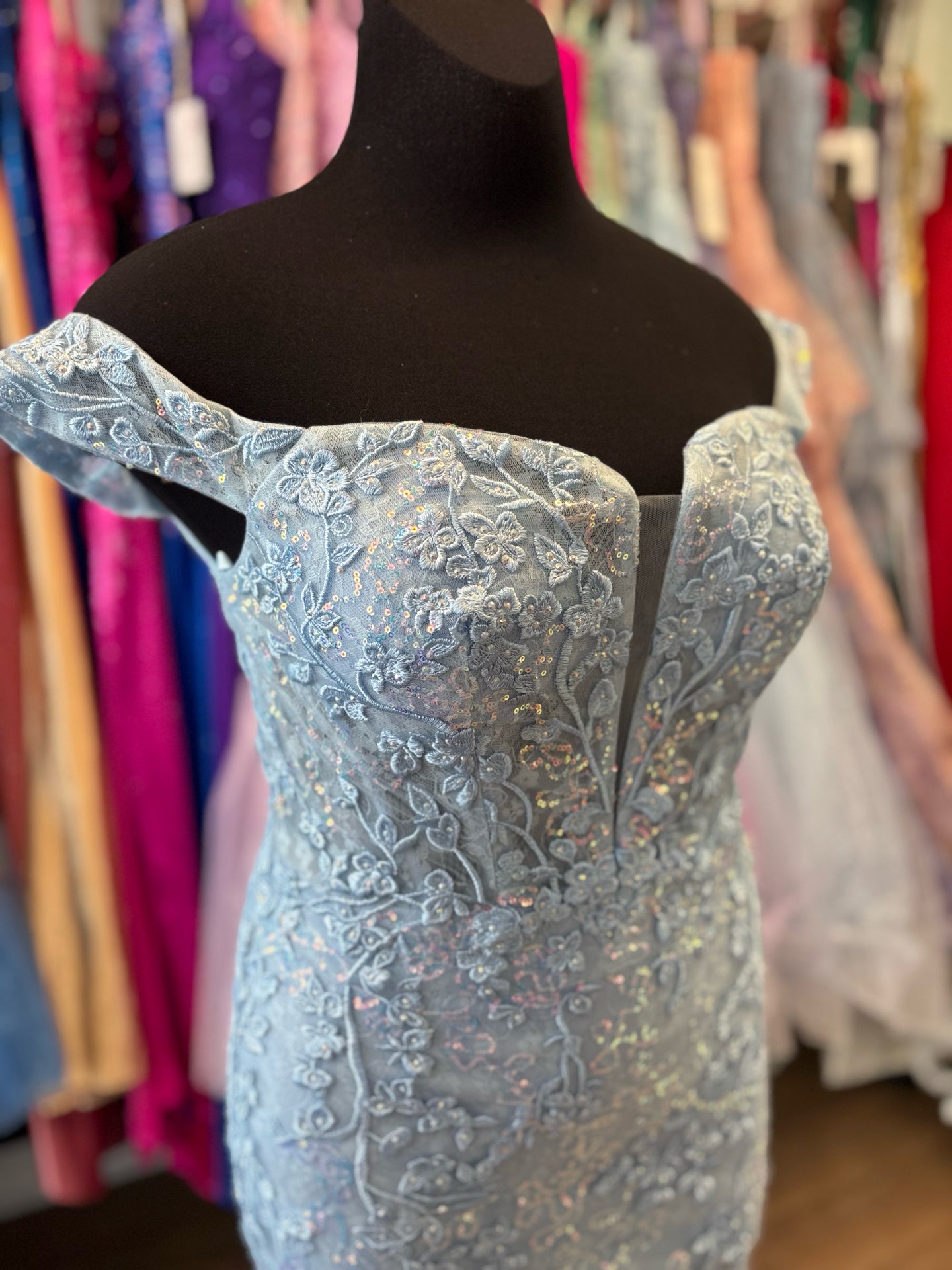 Size 12 Emmi's Elegance Light Blue Gown