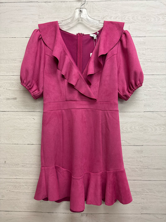 Size L Fate Pink Dress