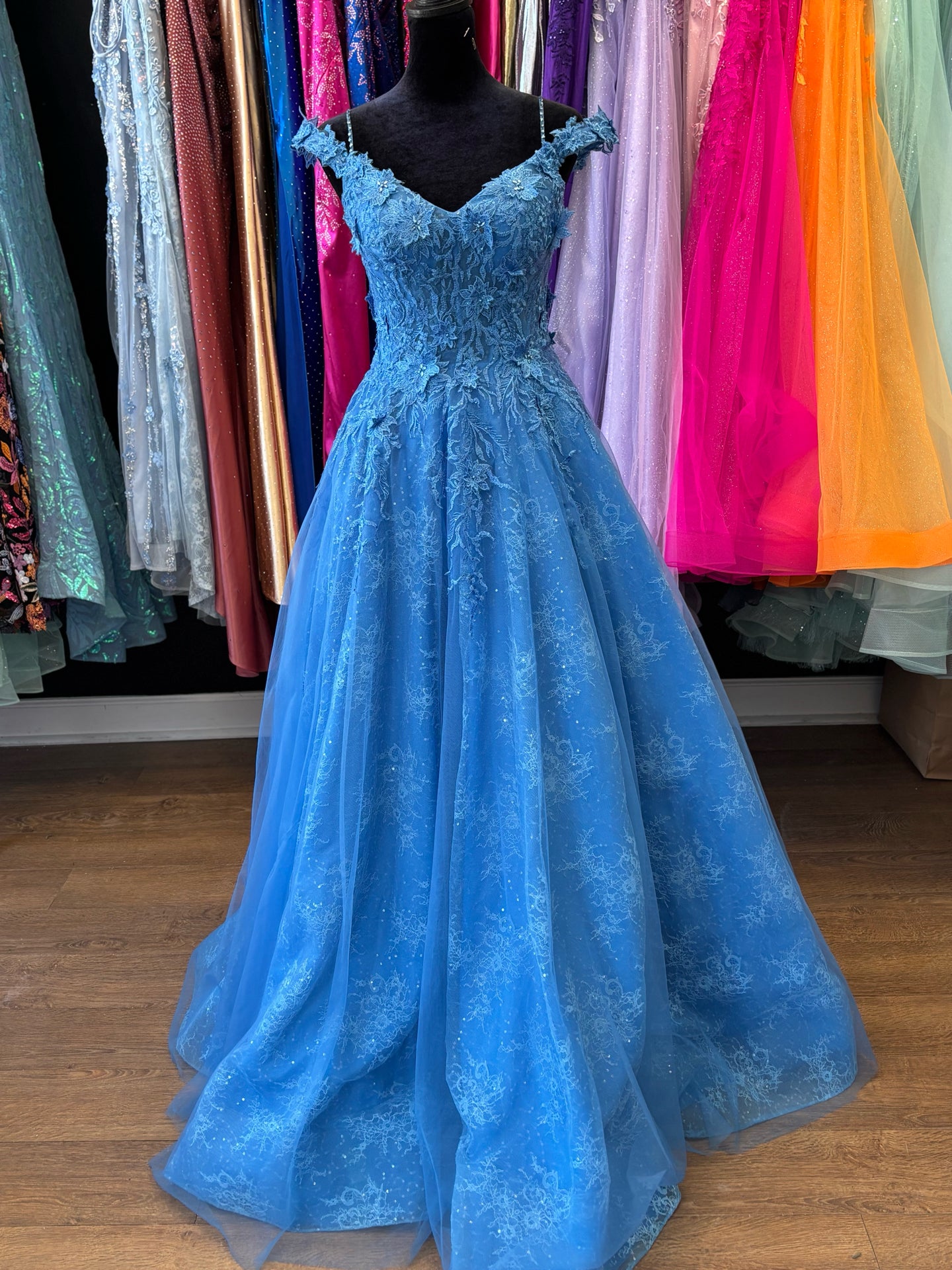 Size 4 Emmi's Elegance Blue Gown