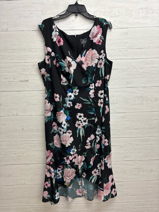 Size 18 Adrianna Papell Black/Pink Dress