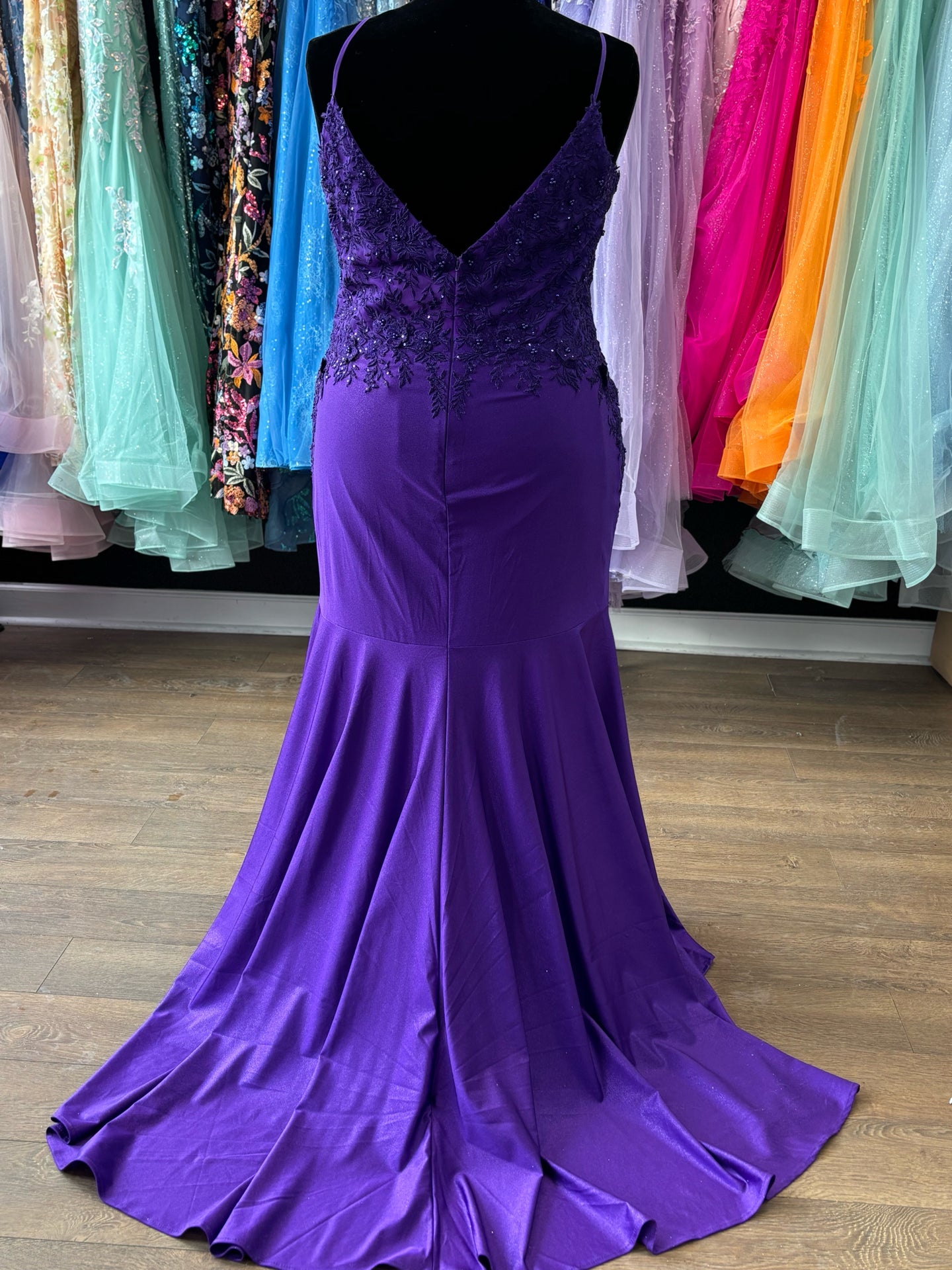 Size 20 Emmi's Elegance Purple Gown