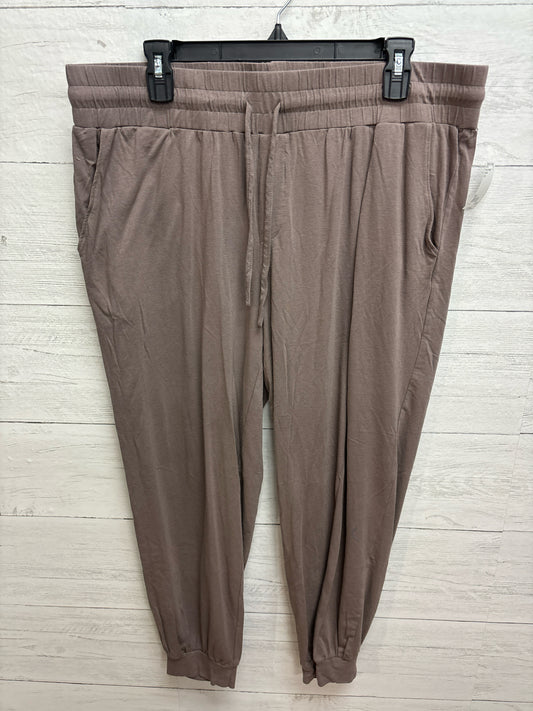 Size L Any Body Brown Womens Sweatpants