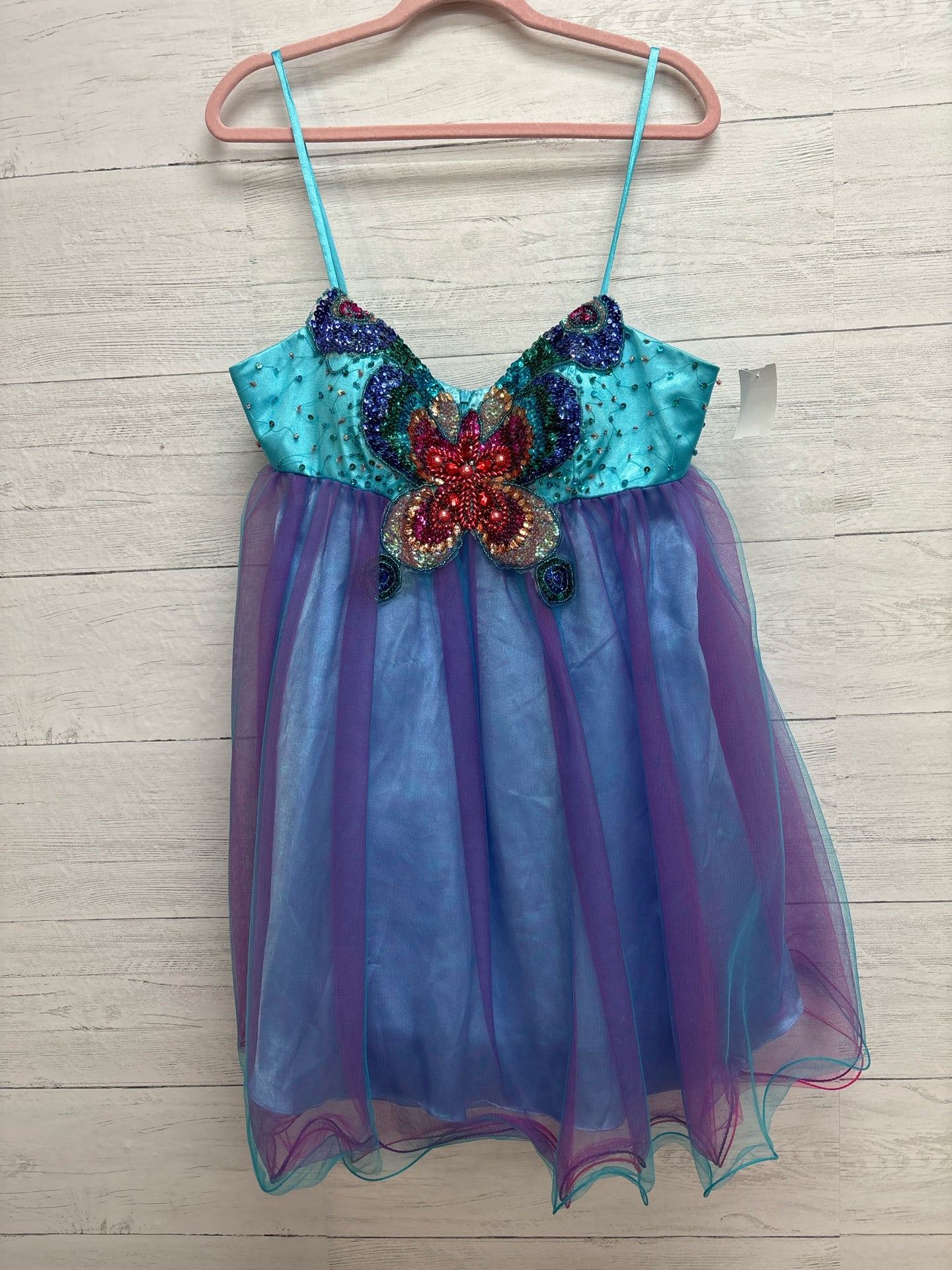 Size 14 Cinderella Blue/Purple Gown