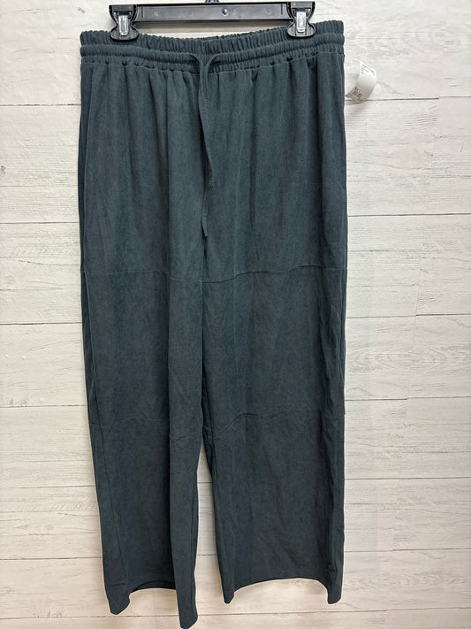 Size L N/A Grey Womens Pants