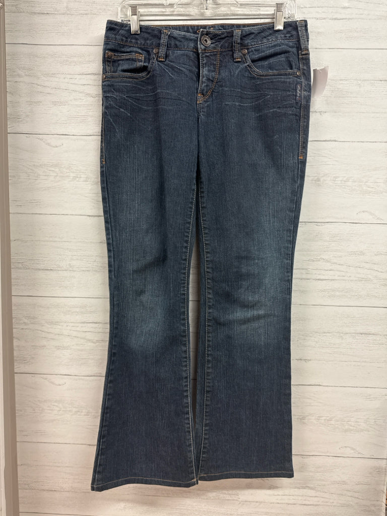 Size 28 Silver Denim Pants