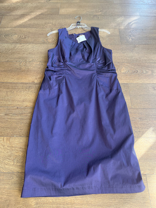 Size 16 Adrianna Papell Purple Gown