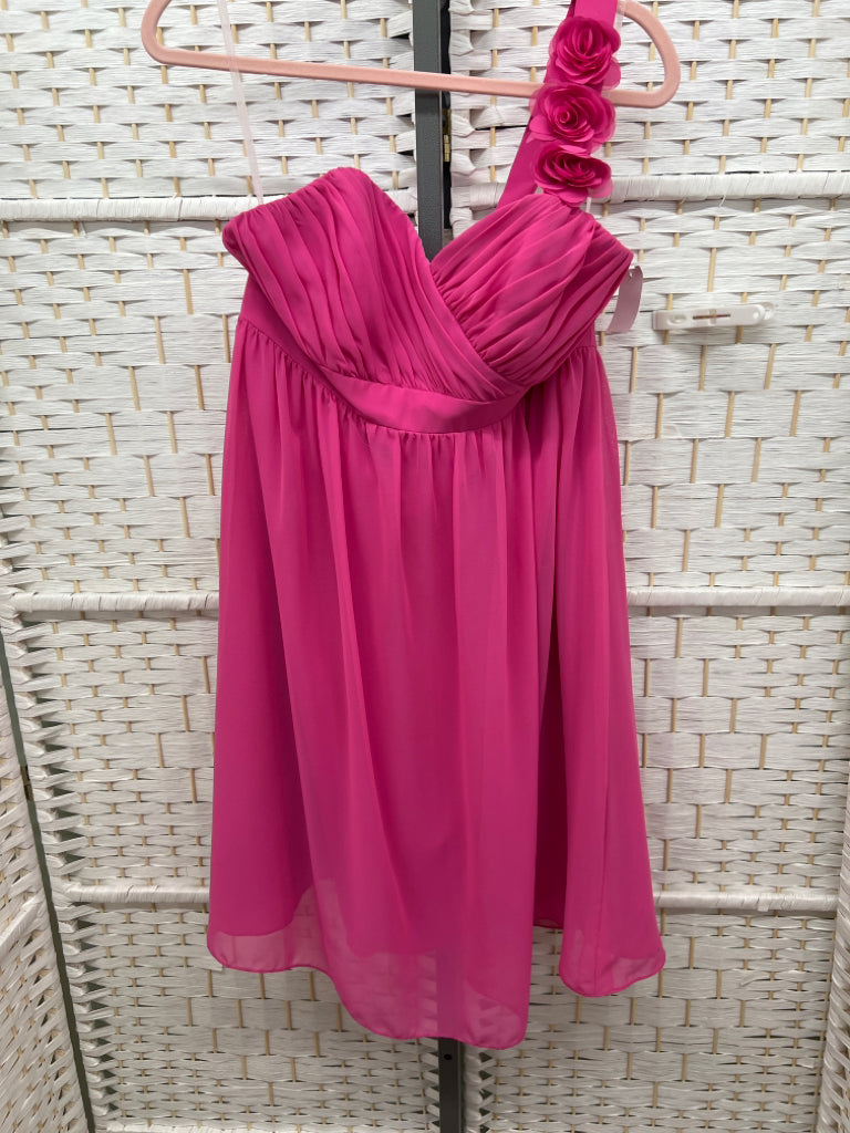 Size 12 Magical Moments Pink Gown