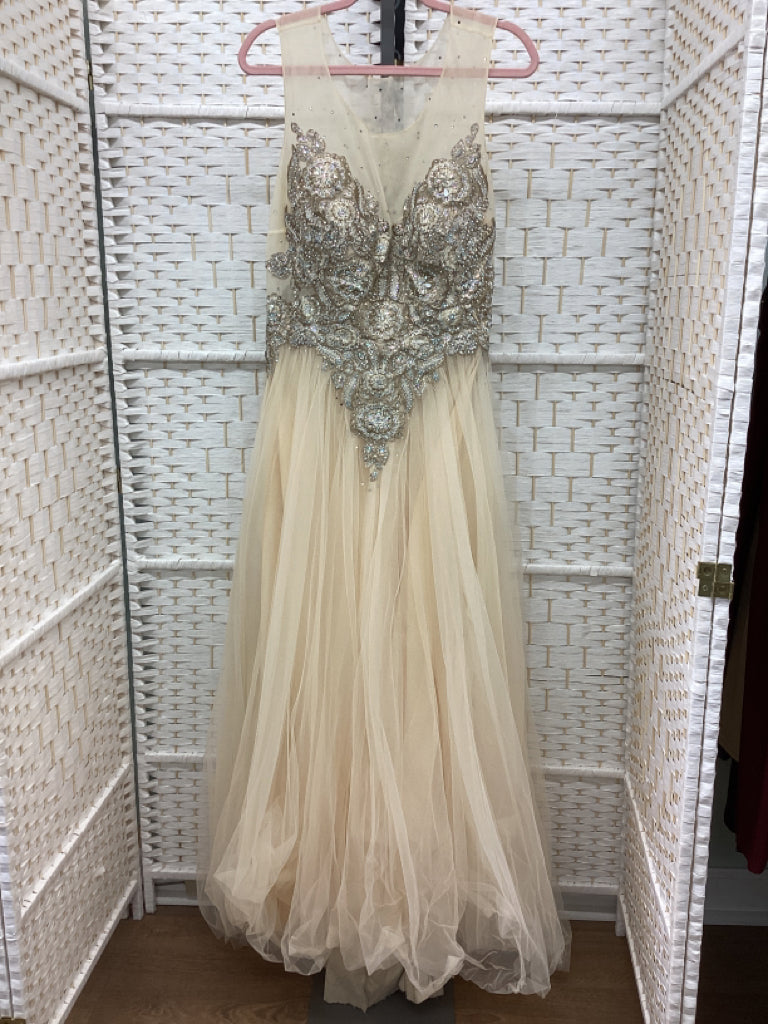 Size 3X Champagne Gown